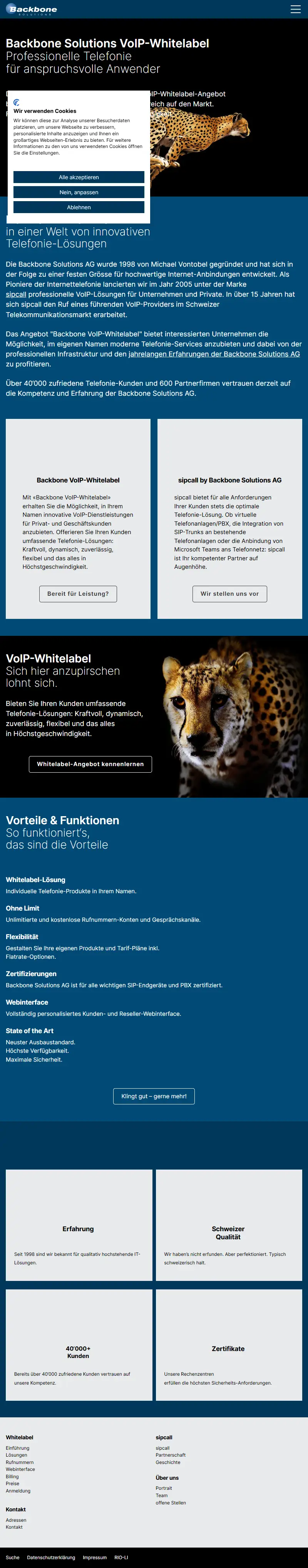backlink from backbone.ch