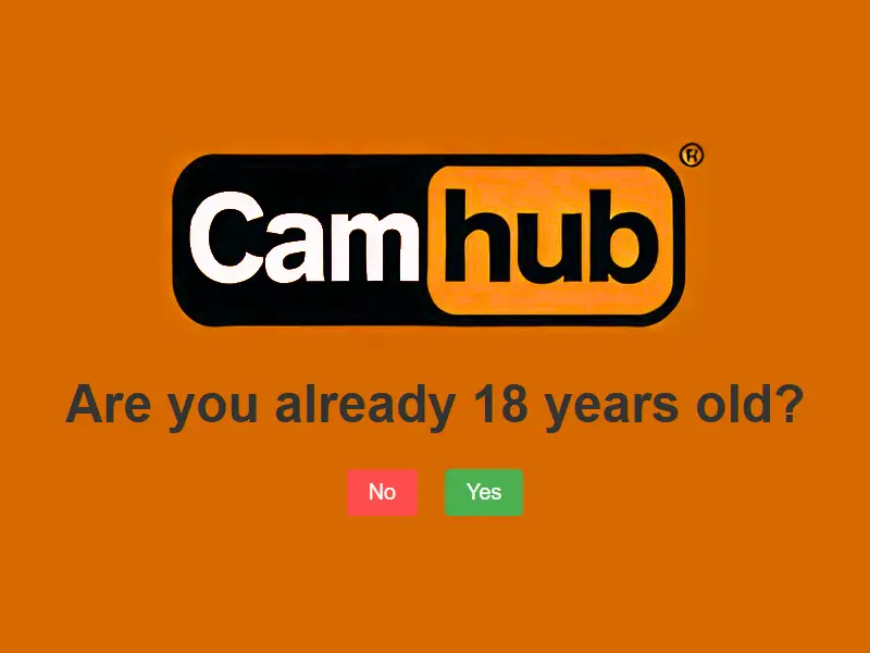 backlink from camhub.to