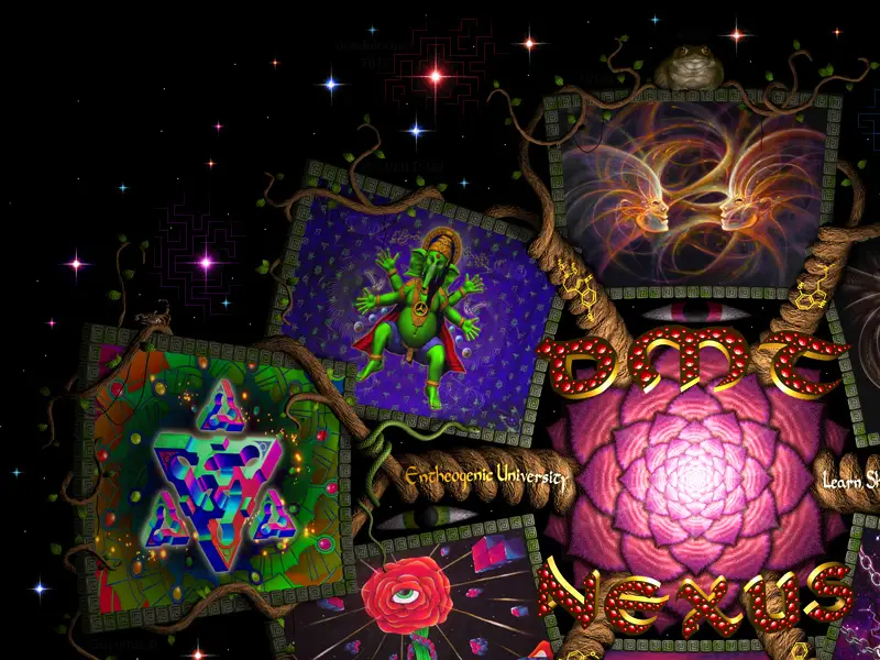 backlink from dmt-nexus.me