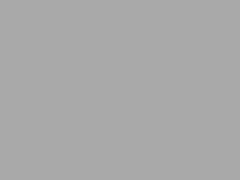 backlink from lightspeedevo.com