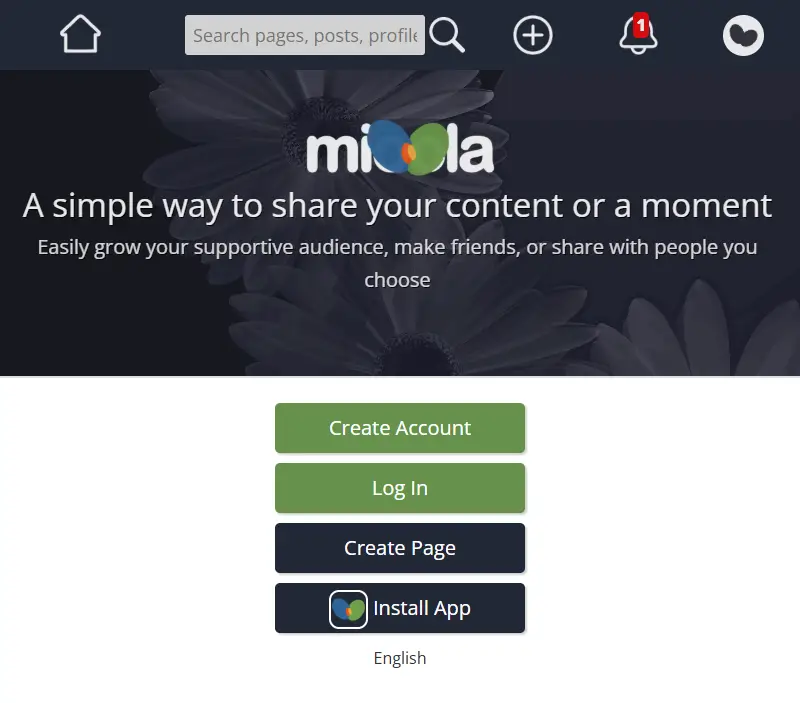 backlink from mioola.com
