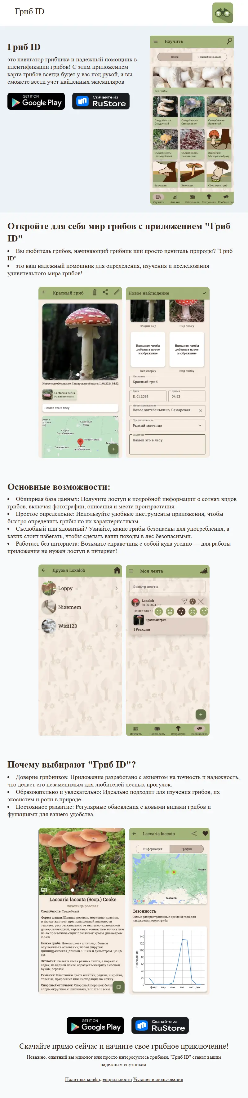 backlink from mushroom-discovery.com