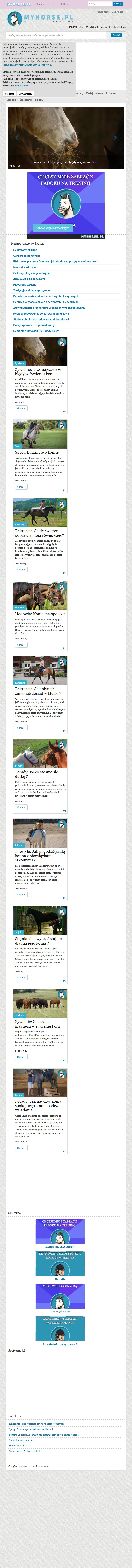 backlink from myhorse.pl