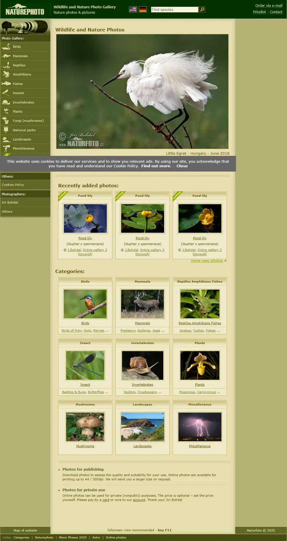 backlink from naturephoto-cz.com