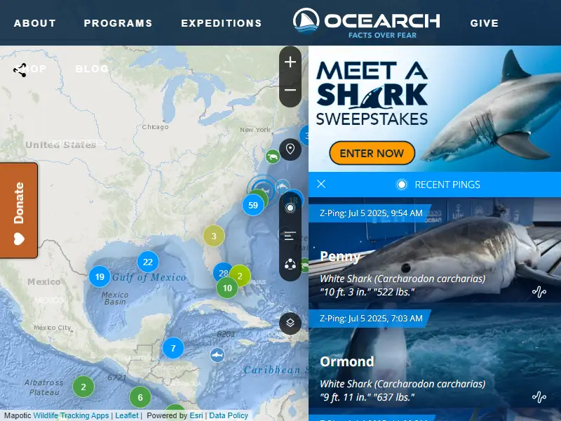 backlink from ocearch.org