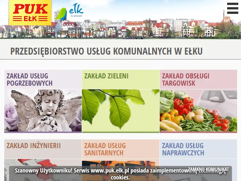 backlink from puk.elk.pl