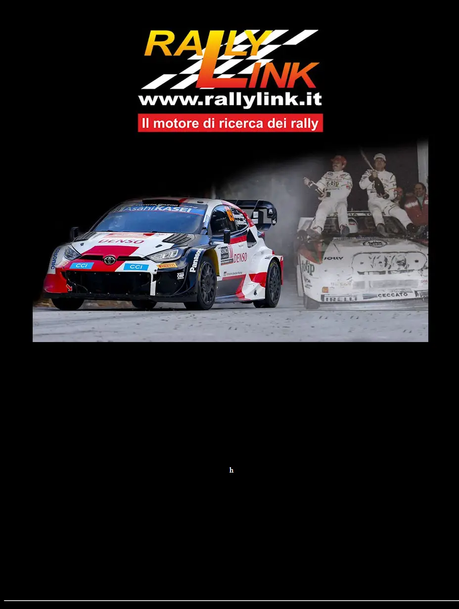 backlink from rallylink.it