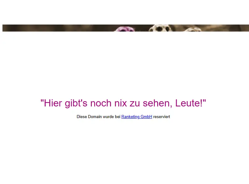 backlink from ranketing04.com