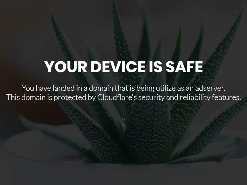 backlink from redirtrack.tech