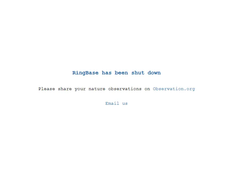 backlink from ringbase.org