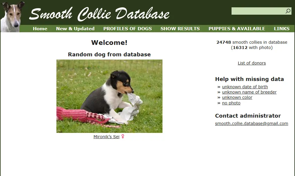 backlink from smooth-collie.net
