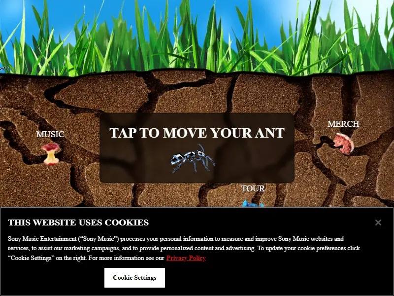 backlink from szasos.com