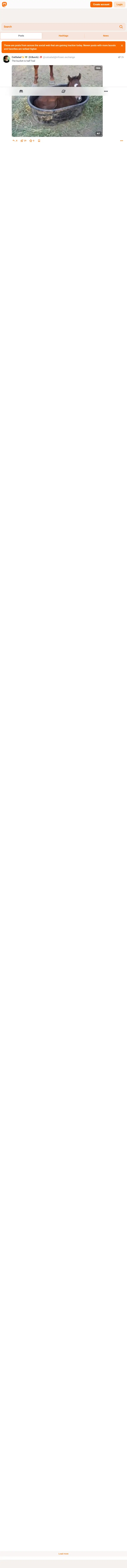 backlink from toot.wales