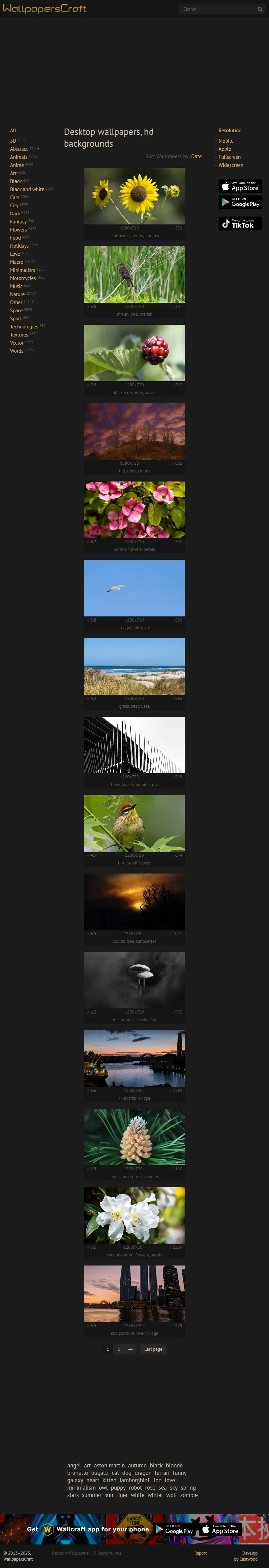 backlink from wallpaperscraft.com