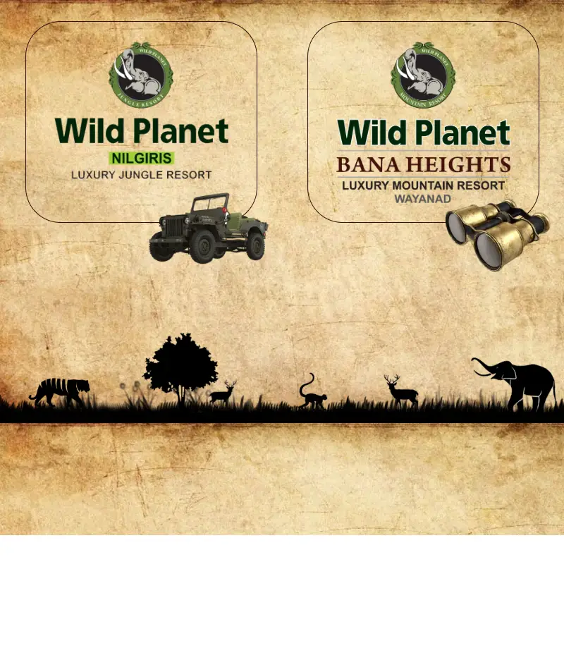 backlink from wildplanetresort.com
